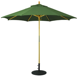 52 Forest Green Sunbrella