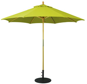 61 Gingko Sunbrella