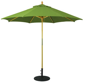 67 Fern Sunbrella