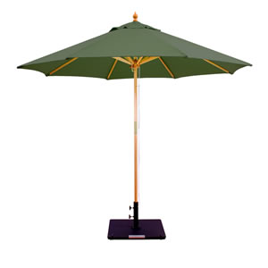 52 Forest Green Sunbrella