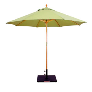 61 Gingko Sunbrella