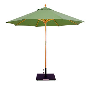 67 Fern Sunbrella