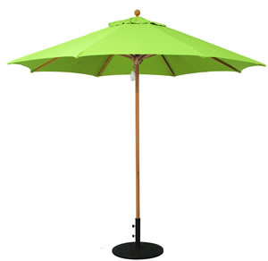 61 Gingko Sunbrella