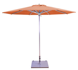 41 Melon Sunbrella