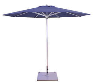 58 Navy Sunbrella