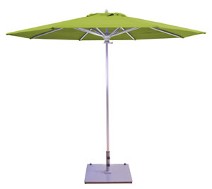 61 Gingko Sunbrella