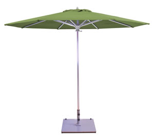 67 Fern Sunbrella