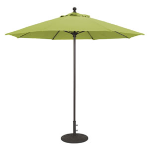 61 Gingko Sunbrella