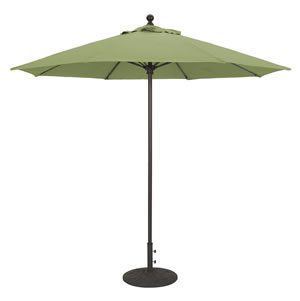 67 Fern Sunbrella