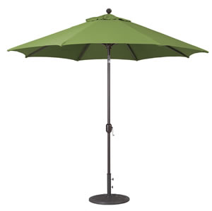 67 Fern Sunbrella