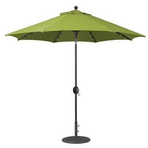 61 Gingko Sunbrella